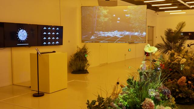 Mimicry News Ecology